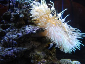 Leadership 2014 first day 107